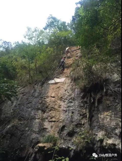 微信图片_20170927152954.jpg 微信图片_20170927152954.jpg