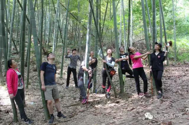 微信图片_20170927153016.jpg 微信图片_20170927153016.jpg