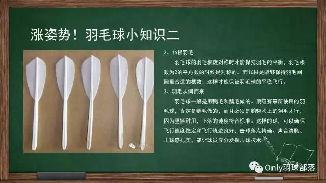 微信图片_20170927160919.jpg 微信图片_20170927160919.jpg